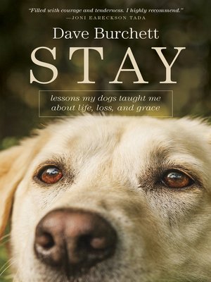 cover image of Stay